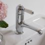 Burlington Chelsea Straight Spout Monobloc Mixer Tap